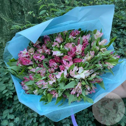 Букет из 51 альстромерии бело-розовой в магазине Цветы Планеты