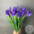 9 синих ирисов 9 синих ирисов в магазине Цветы Планеты