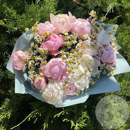 Букет из пионов и ромашек в магазине Цветы Планеты