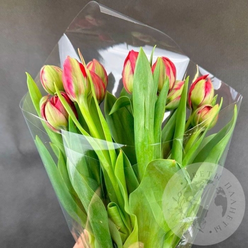 7 красных пионовидных тюльпанов в магазине Цветы Планеты