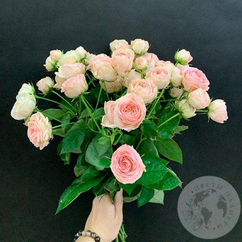 15 кустовых пионовидных роз 50 см. в магазине Цветы Планеты