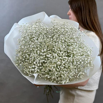 Букет из гипсофилы