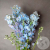 Дельфиниум 5 шт. в магазине Цветы Планеты