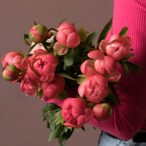 11 пионов розовых в магазине Цветы Планеты