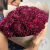 13 хризантем бордовых