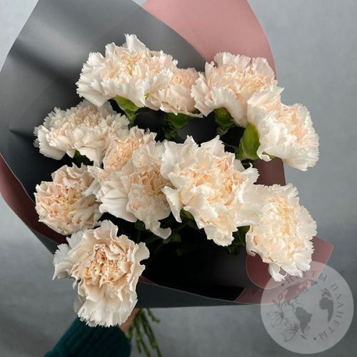 11 гвоздик персиковых