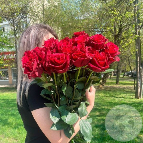 15 роз красных 110 см. в магазине Цветы Планеты