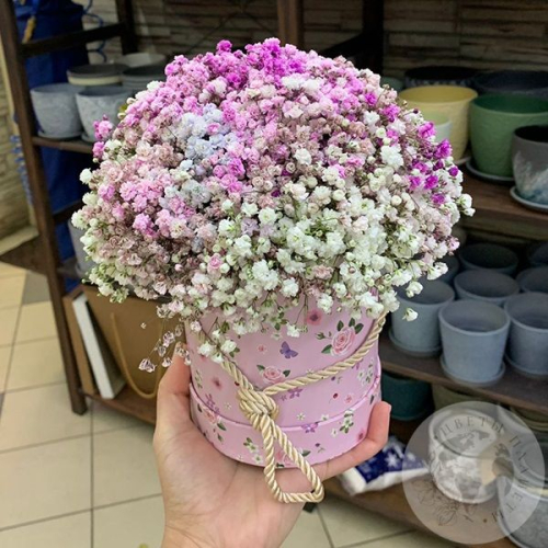 Букет гипсофил в коробке "Светлое чувство"