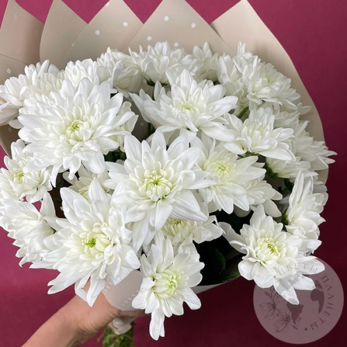 9 Хризантем кустовых белых в магазине Цветы Планеты