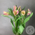 3 Альстромерии желто-розовых