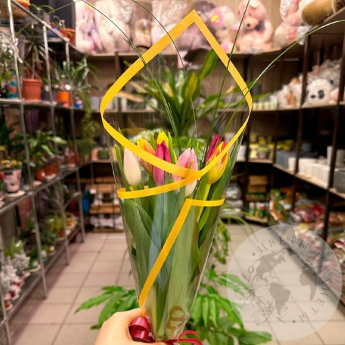 Букет из 7 тюльпанов mix в магазине Цветы Планеты