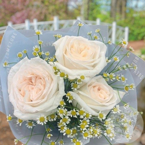 Букет из роз и ромашек в магазине Цветы Планеты