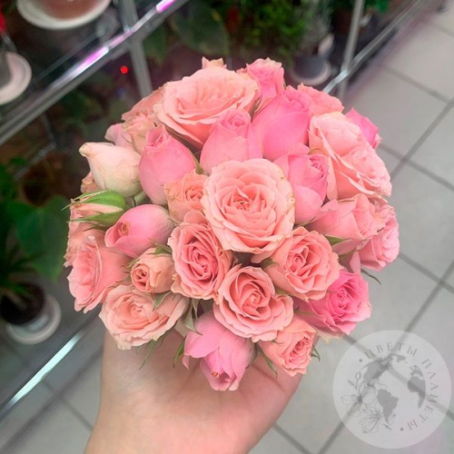 Композиция из роз в керамическом кашпо "Малышка" в магазине Цветы Планеты