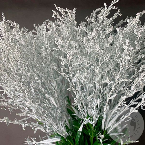 9 Солидаго белых в магазине Цветы Планеты