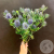 Эрингиум 7 шт. в магазине Цветы Планеты