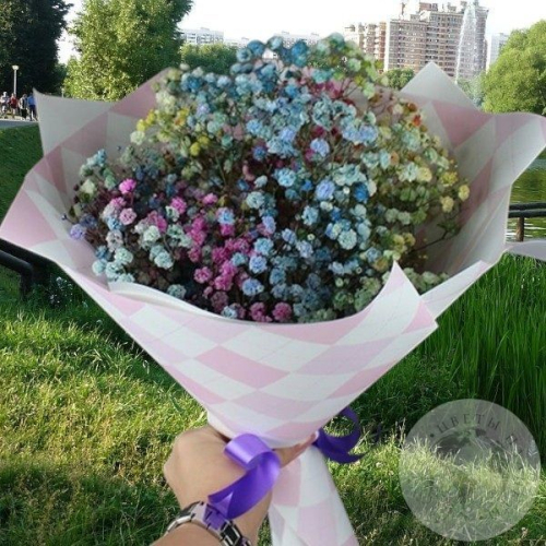 Букет из гипсофил крашенных в магазине Цветы Планеты