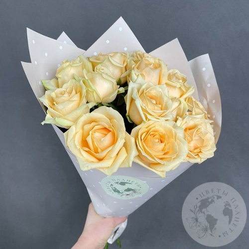 11 роз кремовых 60 см. в магазине Цветы Планеты