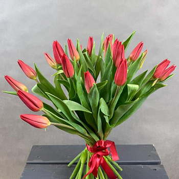 Букет из 25 красных тюльпанов