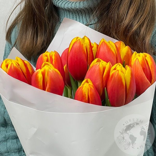 15 тюльпанов красно-желтых в магазине Цветы Планеты