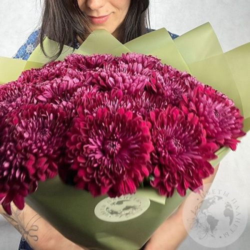 21 хризантема бордовая