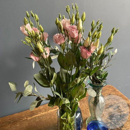 Эустома розовая 3 шт.