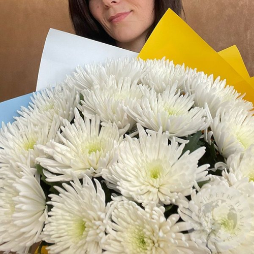 15 хризантем белых
