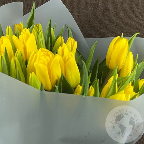 30 тюльпанов желтых в магазине Цветы Планеты