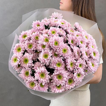 Букет из фиолетовой кустовой хризантемы