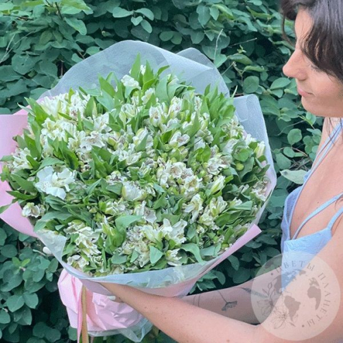 Букет из 51 альстромерии белой