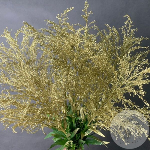 Солидаго Золото 7 шт. в магазине Цветы Планеты