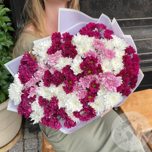 Букет из 31 бордовой, розовой, белой кустовой хризантемы в магазине Цветы Планеты