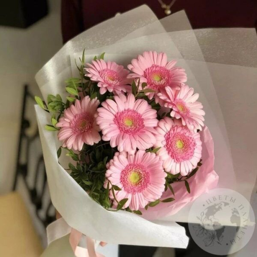 101 гербера МIХ