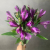 5 Альстромерий фиолетовых