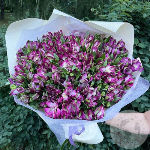 Букет из 51 альстромерии фиолетовой