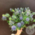 Эрингиум 9 шт. в магазине Цветы Планеты