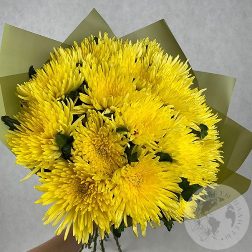 21 хризантема желтая