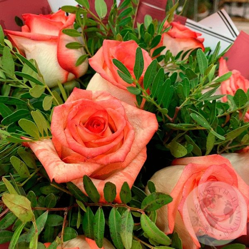 Букет из роз и фисташки "Доброе утро" в магазине Цветы Планеты