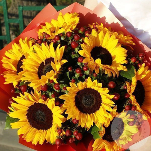 Букет подсолнухов "Солнечный" в магазине Цветы Планеты