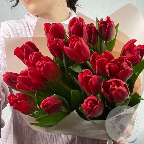 25 тюльпанов красных в магазине Цветы Планеты