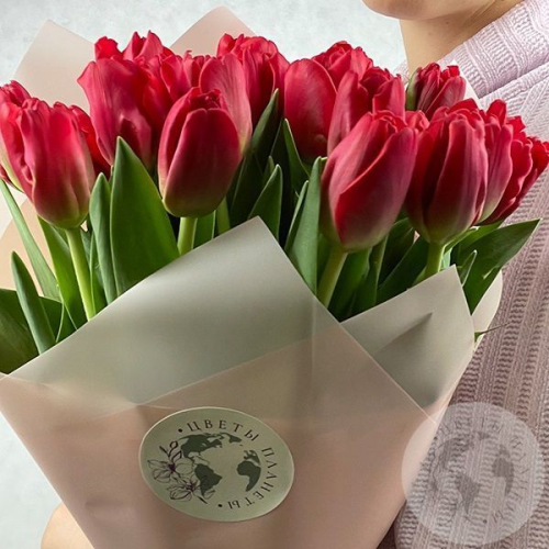 40 тюльпанов красных в магазине Цветы Планеты