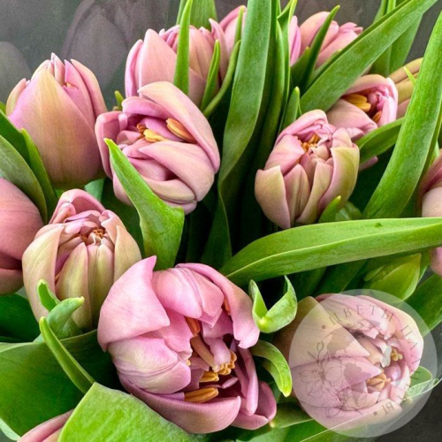 11 розовых пионовидных тюльпанов в магазине Цветы Планеты