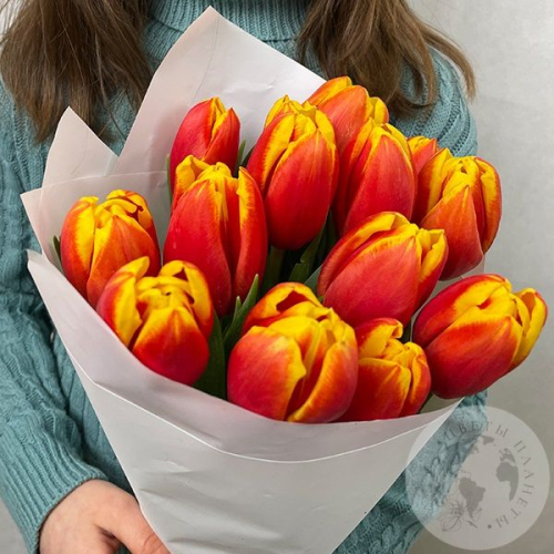 15 тюльпанов красно-желтых в магазине Цветы Планеты