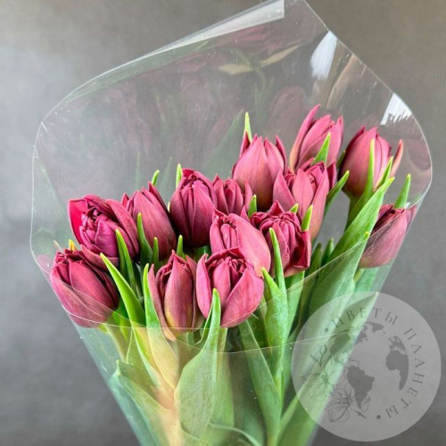 15 бордовых пионовидных тюльпанов в магазине Цветы Планеты