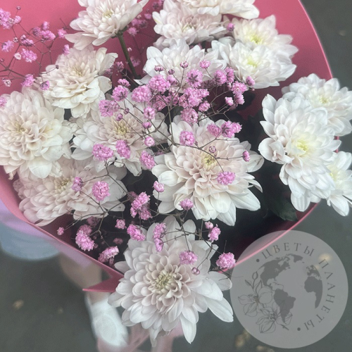 Букет из кустовых хризантем и гипсофилы в магазине Цветы Планеты