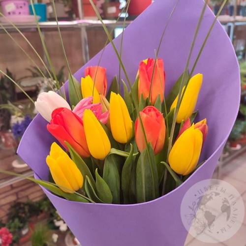 15 тюльпанов микс в магазине Цветы Планеты