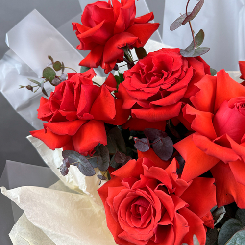 Букет из 11 красных французских роз в магазине Цветы Планеты