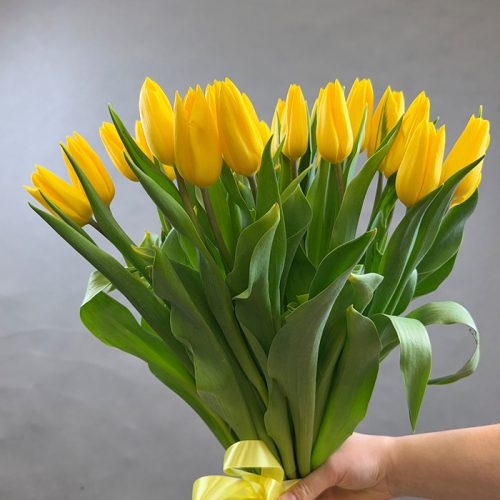 Букет из 25 желтых тюльпанов в магазине Цветы Планеты