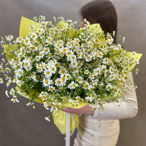 Букет ромашек в магазине Цветы Планеты