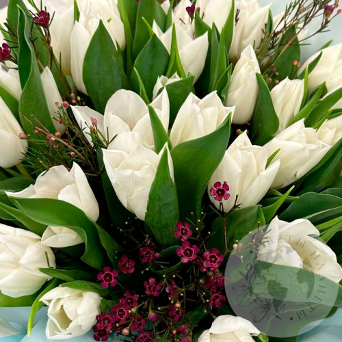Букет из 35 тюльпанов в магазине Цветы Планеты