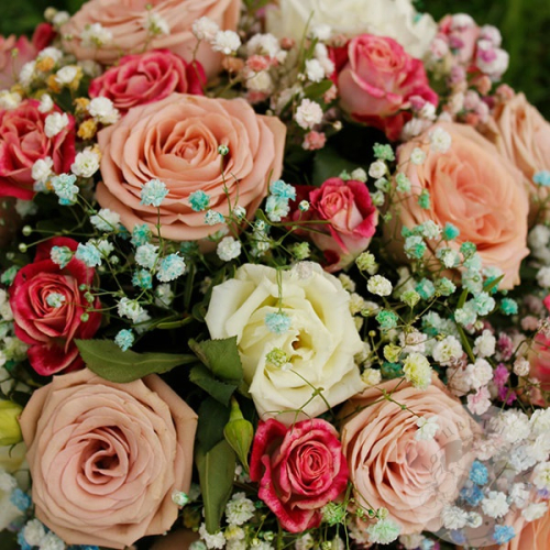 Композиция из роз и фисташки в коробке в магазине Цветы Планеты